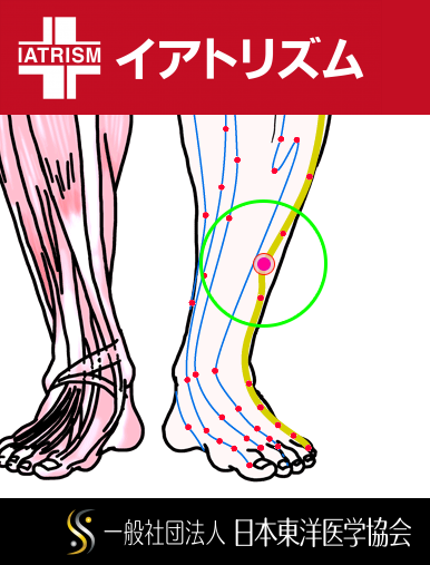 特定の臓腑と内属し表裏関係をも有する十二経脈の一つ足の『少陽胆経』に属する経穴「陽輔」のある風景