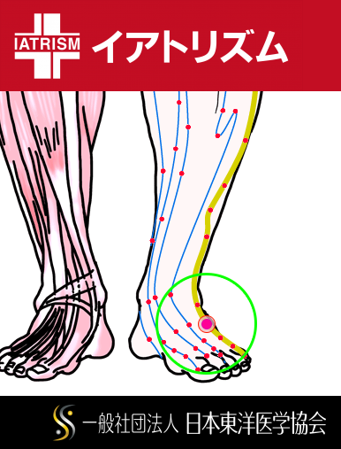 特定の臓腑と内属し表裏関係をも有する十二経脈の一つ足の『少陽胆経』に属する経穴「足臨泣」のある風景