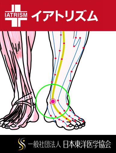 特定の臓腑と内属し表裏関係をも有する十二経脈の一つ足の『厥陰肝経』に属する経穴「中封」のある風景