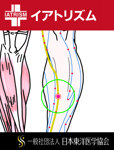 特定の臓腑と内属し表裏関係をも有する十二経脈の一つ足の『厥陰肝経』に属する経穴「中都」のある風景