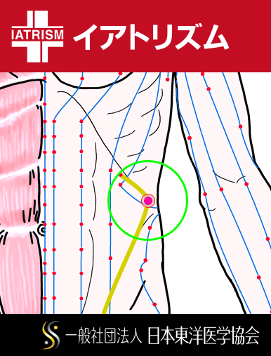 特定の臓腑と内属し表裏関係をも有する十二経脈の一つ足の『厥陰肝経』に属する経穴「章門」のある風景
