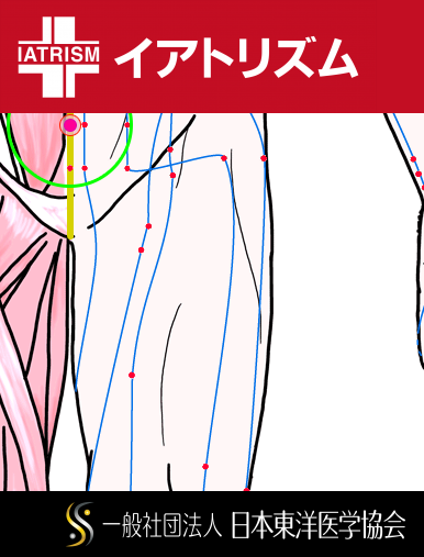 特定の臓腑とは内属せず表裏関係も無い奇経八脈の一つ『任脈』に属する経穴「中極」のある風景