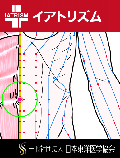 特定の臓腑とは内属せず表裏関係も無い奇経八脈の一つ『任脈』に属する経穴「神闕」のある風景