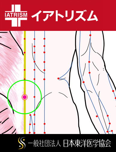 特定の臓腑とは内属せず表裏関係も無い奇経八脈の一つ『督脈』に属する経穴「腰陽関」のある風景