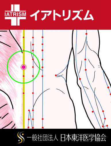 特定の臓腑とは内属せず表裏関係も無い奇経八脈の一つ『督脈』に属する経穴「懸枢」のある風景