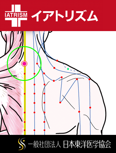 特定の臓腑とは内属せず表裏関係も無い奇経八脈の一つ『督脈』に属する経穴「大椎」のある風景