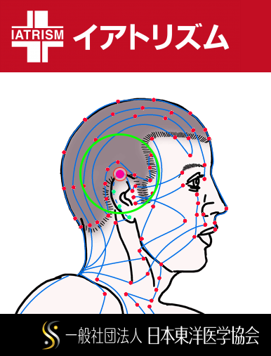 五臓六腑に関係する正経十二経および督脈経・任脈経に属さず単独で存在する「耳尖」のある風景