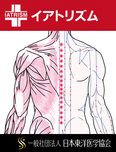 五臓六腑に関係する正経十二経および督脈経・任脈経に属さず単独で存在する「華佗夾脊穴」のある風景
