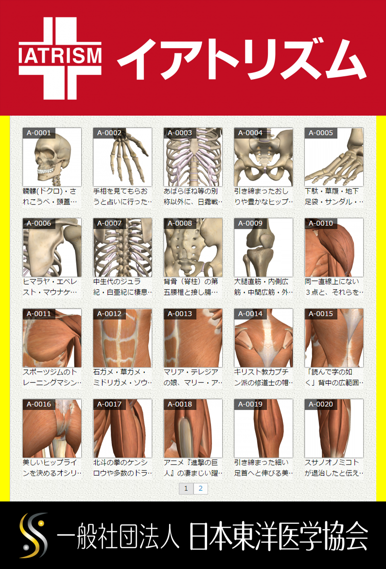 イアトリズム ギャラリー『解剖・疾患』関連分野の展示作品一覧先頭頁の内臓・筋肉・骨など、中が見える絵