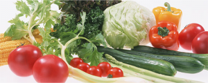 イアトリズム事典 知っておきたい『食品と栄養』で食品成分表 野菜類 に用いられる 野菜たち が寄る風景