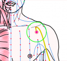 特定の臓腑と内属し表裏関係をも有する十二経脈の一つ手の『太陰肺経』に属する経穴「中府」のある風景