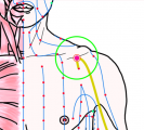 特定の臓腑と内属し表裏関係をも有する十二経脈の一つ手の『太陰肺経』に属する経穴「雲門」のある風景