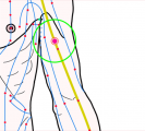 特定の臓腑と内属し表裏関係をも有する十二経脈の一つ手の『太陰肺経』に属する経穴「天府」のある風景