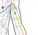 特定の臓腑と内属し表裏関係をも有する十二経脈の一つ手の『太陰肺経』に属する経穴「侠白」のある風景