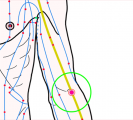 特定の臓腑と内属し表裏関係をも有する十二経脈の一つ手の『太陰肺経』に属する経穴「尺沢」のある風景