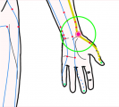 特定の臓腑と内属し表裏関係をも有する十二経脈の一つ手の『太陰肺経』に属する経穴「太淵」のある風景