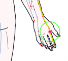 特定の臓腑と内属し表裏関係をも有する十二経脈の一つ手の『陽明大腸経』に属する経穴「二間」のある風景