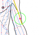 特定の臓腑と内属し表裏関係をも有する十二経脈の一つ手の『陽明大腸経』に属する経穴「手五里」のある風景