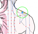 特定の臓腑と内属し表裏関係をも有する十二経脈の一つ手の『陽明大腸経』に属する経穴「巨骨」のある風景