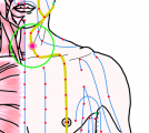 特定の臓腑と内属し表裏関係をも有する十二経脈の一つ足の『陽明胃経』に属する経穴「水突」のある風景