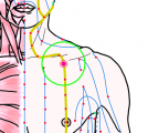 特定の臓腑と内属し表裏関係をも有する十二経脈の一つ足の『陽明胃経』に属する経穴「気戸」のある風景