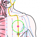 特定の臓腑と内属し表裏関係をも有する十二経脈の一つ足の『陽明胃経』に属する経穴「屋翳」のある風景
