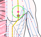 特定の臓腑と内属し表裏関係をも有する十二経脈の一つ足の『陽明胃経』に属する経穴「膺窓」のある風景
