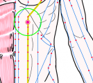 特定の臓腑と内属し表裏関係をも有する十二経脈の一つ足の『陽明胃経』に属する経穴「承満」のある風景