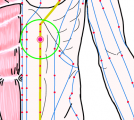 特定の臓腑と内属し表裏関係をも有する十二経脈の一つ足の『陽明胃経』に属する経穴「梁門」のある風景