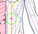 特定の臓腑と内属し表裏関係をも有する十二経脈の一つ足の『陽明胃経』に属する経穴「滑肉門」のある風景