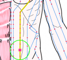 特定の臓腑と内属し表裏関係をも有する十二経脈の一つ足の『陽明胃経』に属する経穴「大巨」のある風景