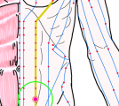 特定の臓腑と内属し表裏関係をも有する十二経脈の一つ足の『陽明胃経』に属する経穴「水道」のある風景