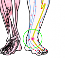 特定の臓腑と内属し表裏関係をも有する十二経脈の一つ足の『陽明胃経』に属する経穴「解谿」のある風景
