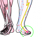特定の臓腑と内属し表裏関係をも有する十二経脈の一つ足の『陽明胃経』に属する経穴「厲兌」のある風景