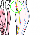 特定の臓腑と内属し表裏関係をも有する十二経脈の一つ足の『太陰脾経』に属する経穴「陰陵泉」のある風景