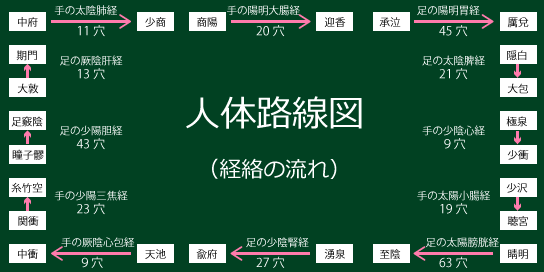 人体路線図（経絡の流れ）